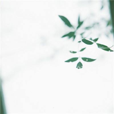 沙巴克传奇之王者归来h5官方版下载