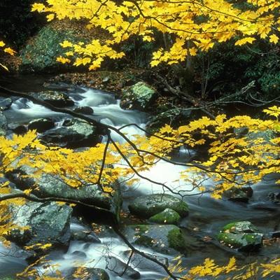 全民宫斗7k7k手游下载